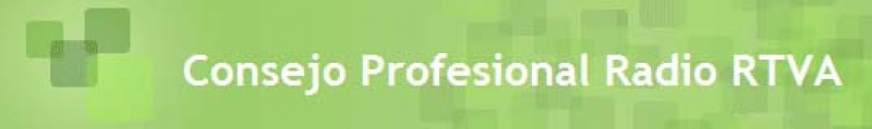 Consejo Profresional de la RTVA